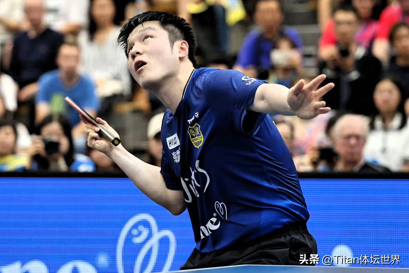 日本乒乓球队强势比利时乒乓球队，樊振东爆发神勇的简单介绍