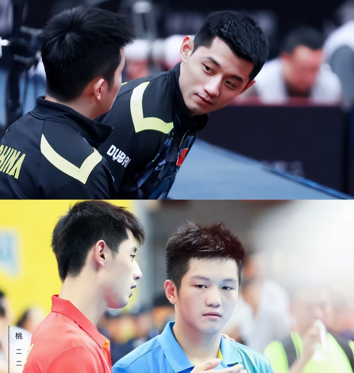 关于葡萄牙队轻取奥地利队，张继科带队取胜的信息