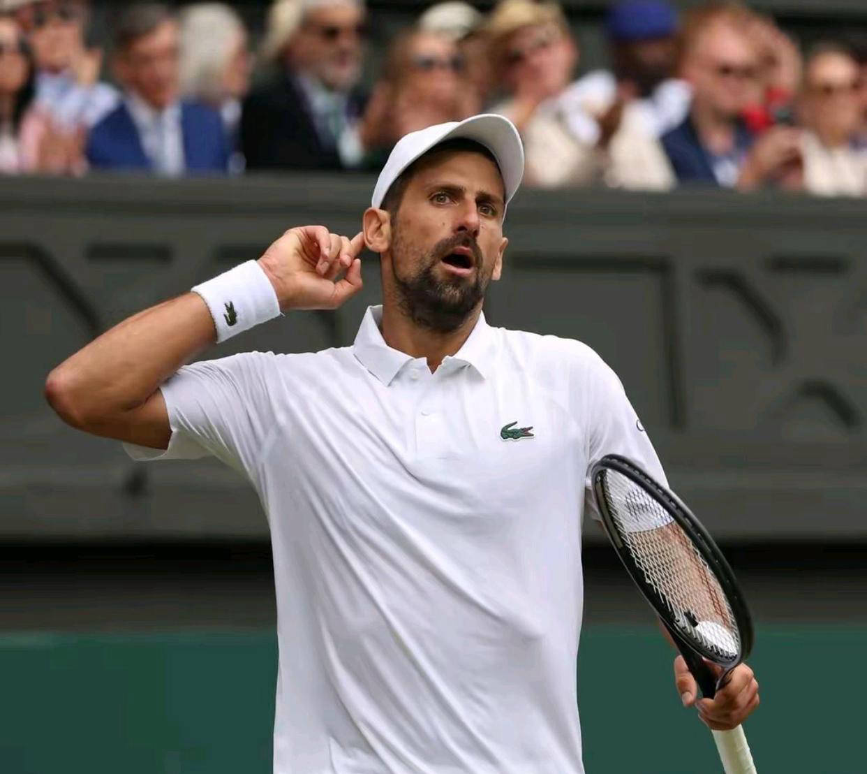 温网力克美网,德约科维奇高光表现的简单介绍 温网力克美网,德约科维奇高光表现的简单介绍